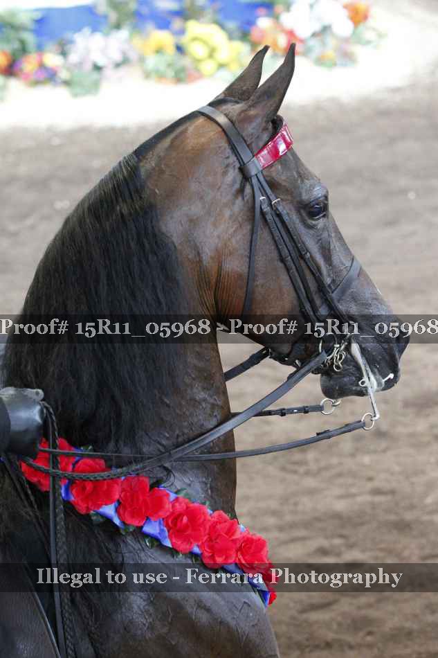 Proof 15R11_05968