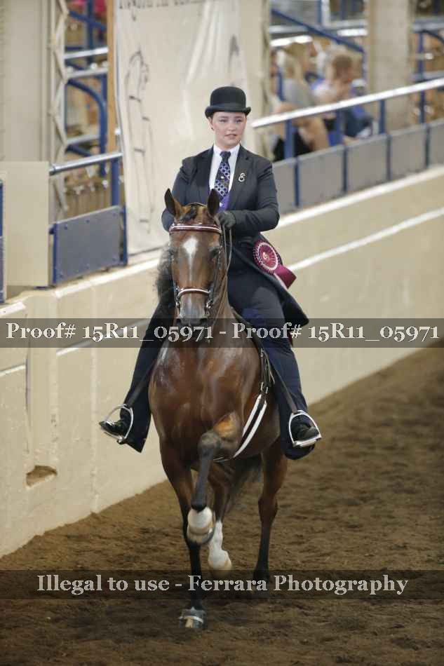 Proof 15R11_05971