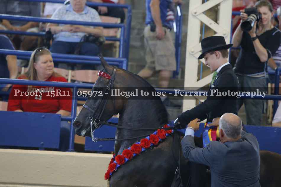 Proof 15R11_05972