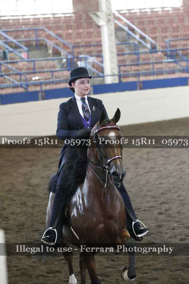 Proof 15R11_05973