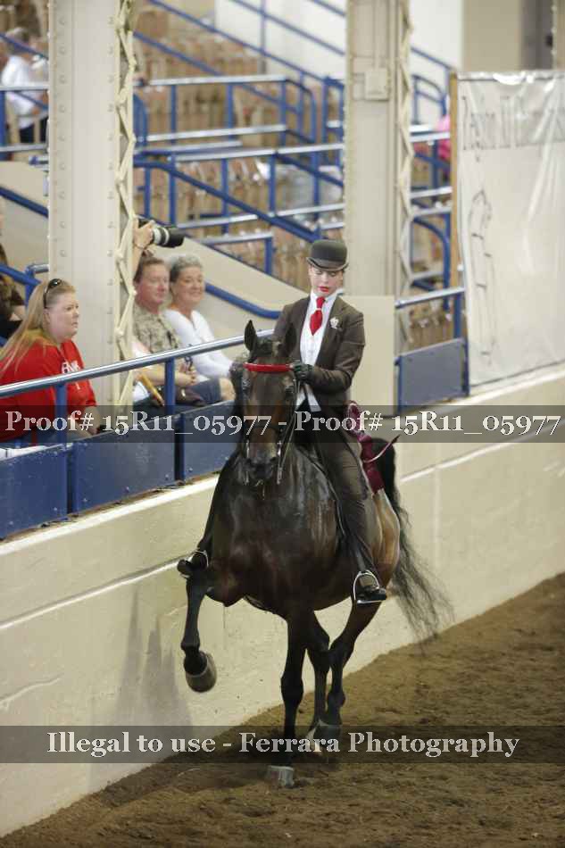 Proof 15R11_05977