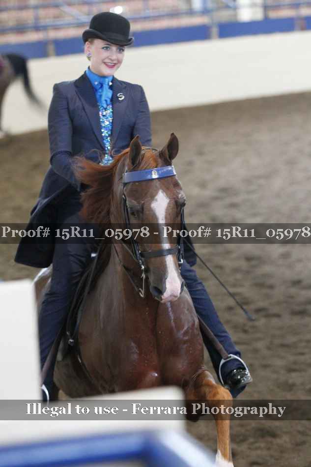 Proof 15R11_05978