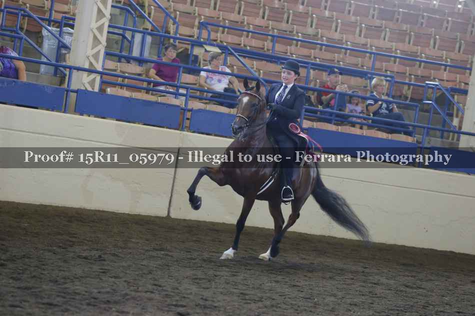 Proof 15R11_05979