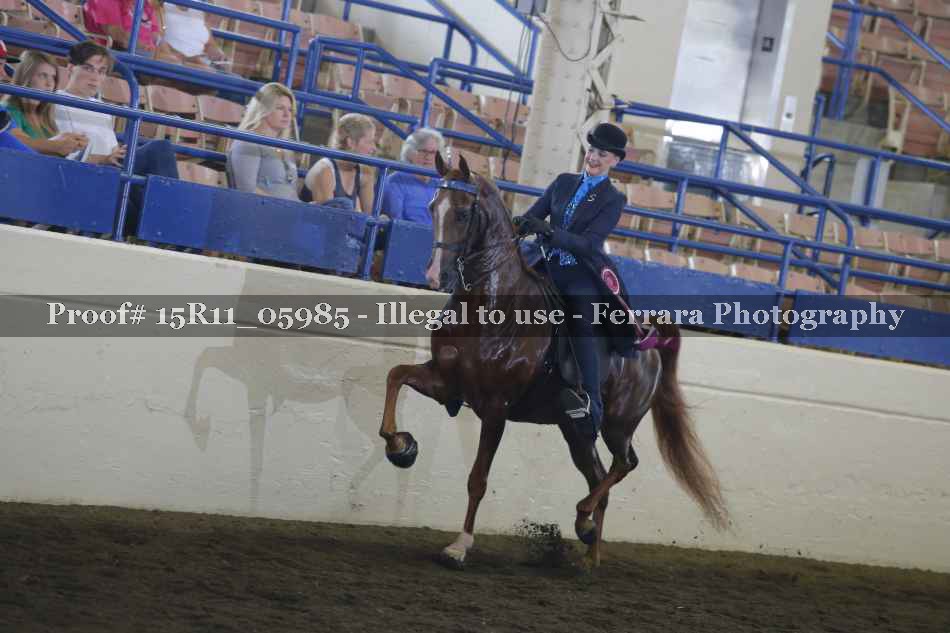Proof 15R11_05985