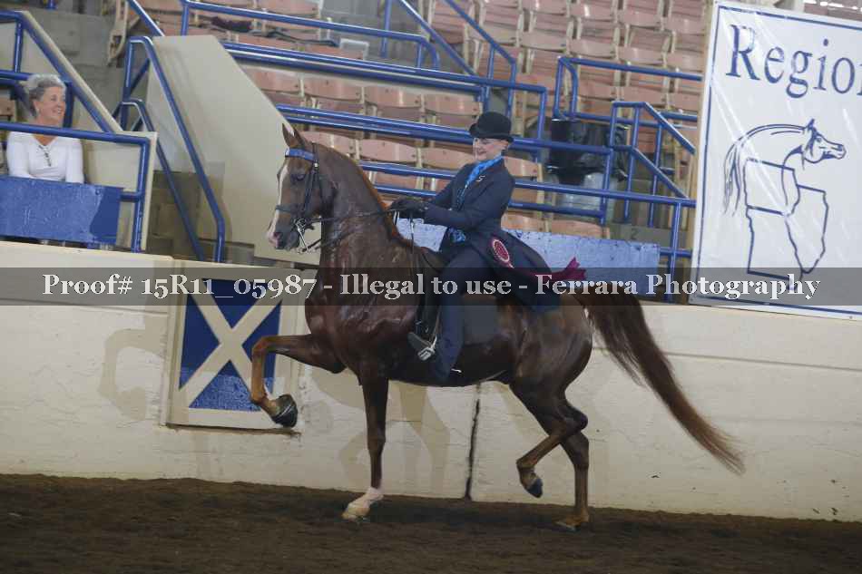 Proof 15R11_05987