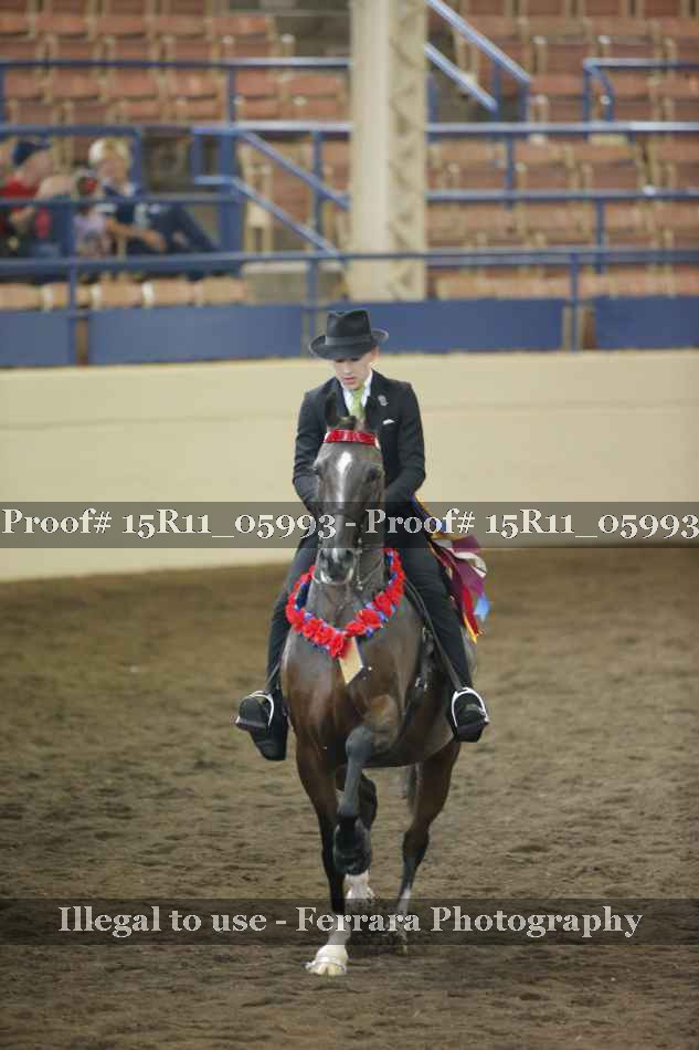 Proof 15R11_05993