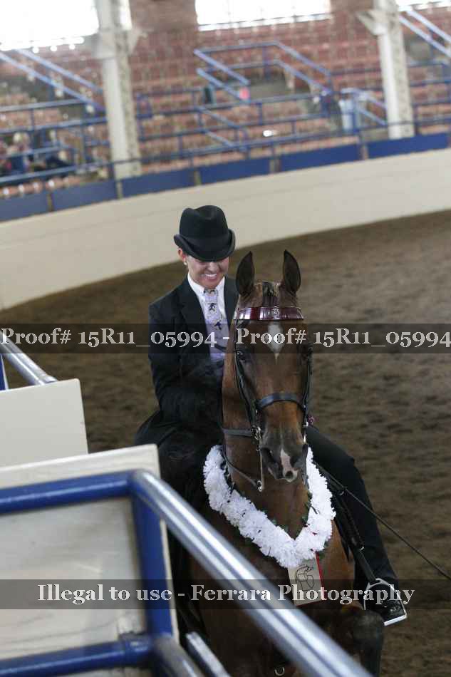 Proof 15R11_05994