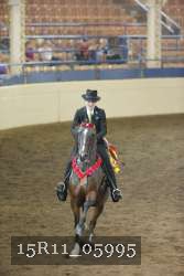 15R11_05995 proof
