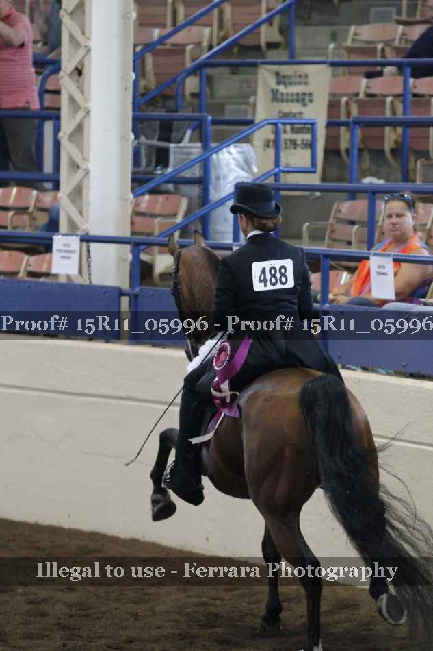 Proof 15R11_05996