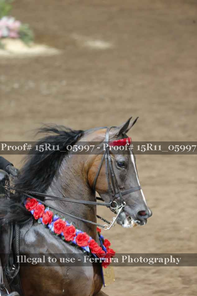 Proof 15R11_05997