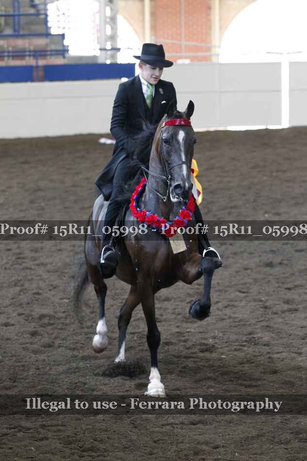 Proof 15R11_05998