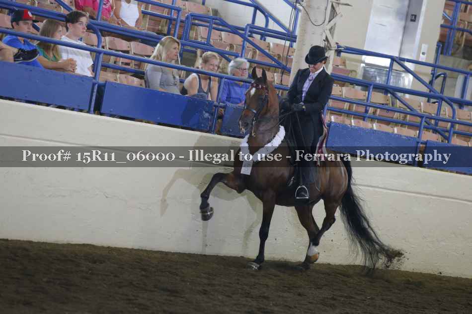 Proof 15R11_06000