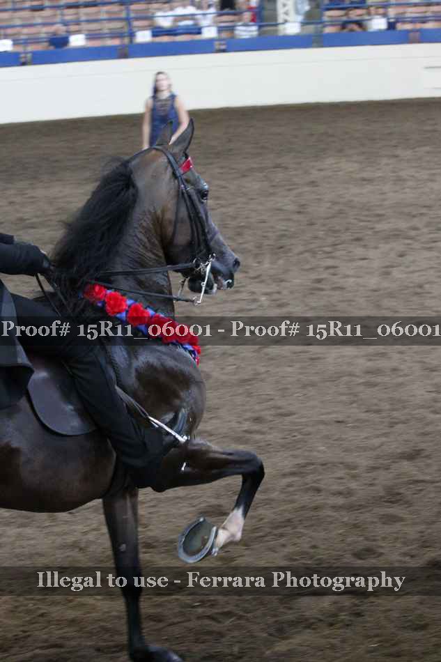 Proof 15R11_06001