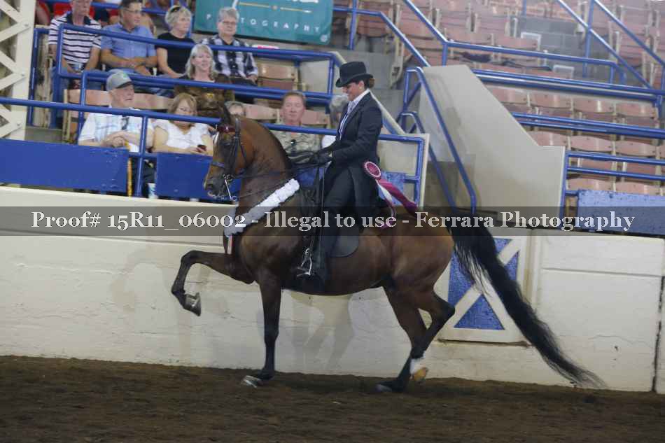 Proof 15R11_06002