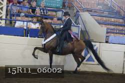 15R11_06002 proof