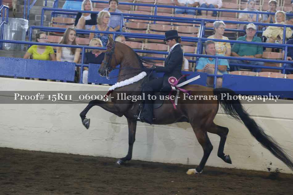 Proof 15R11_06003