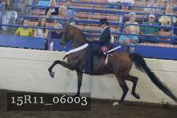 15R11_06003 proof
