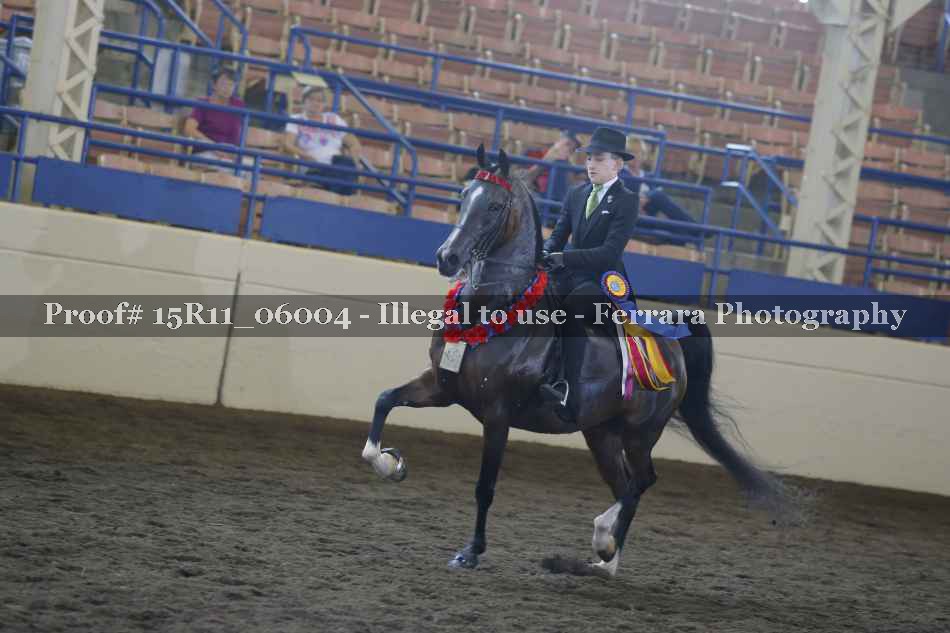 Proof 15R11_06004