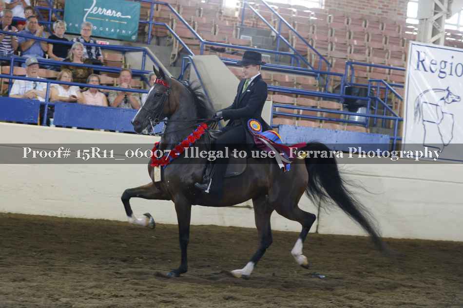 Proof 15R11_06007
