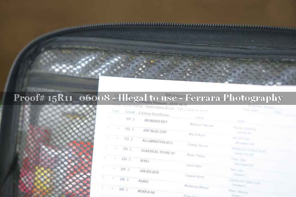 Proof 15R11_06008
