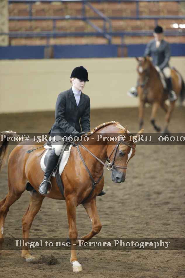 Proof 15R11_06010