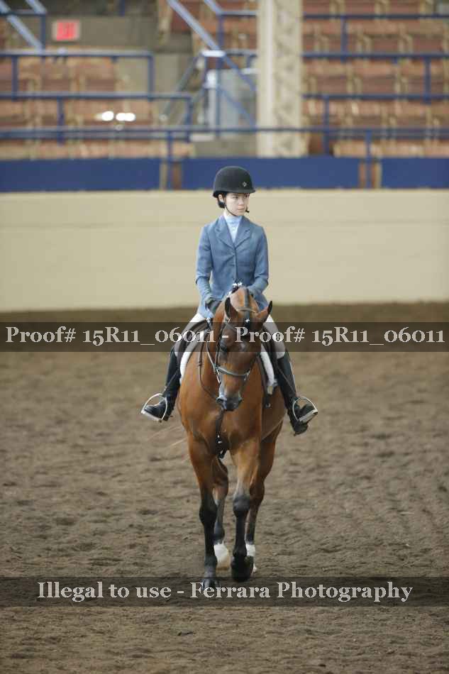 Proof 15R11_06011