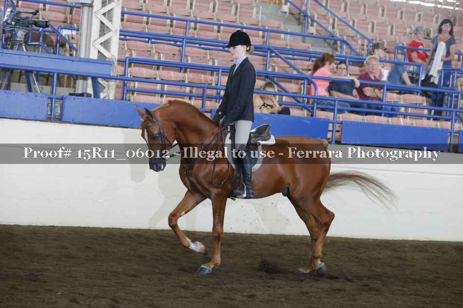 Proof 15R11_06012