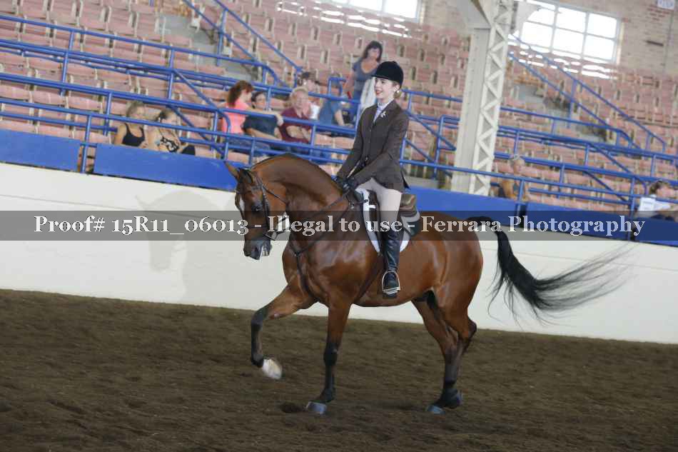 Proof 15R11_06013