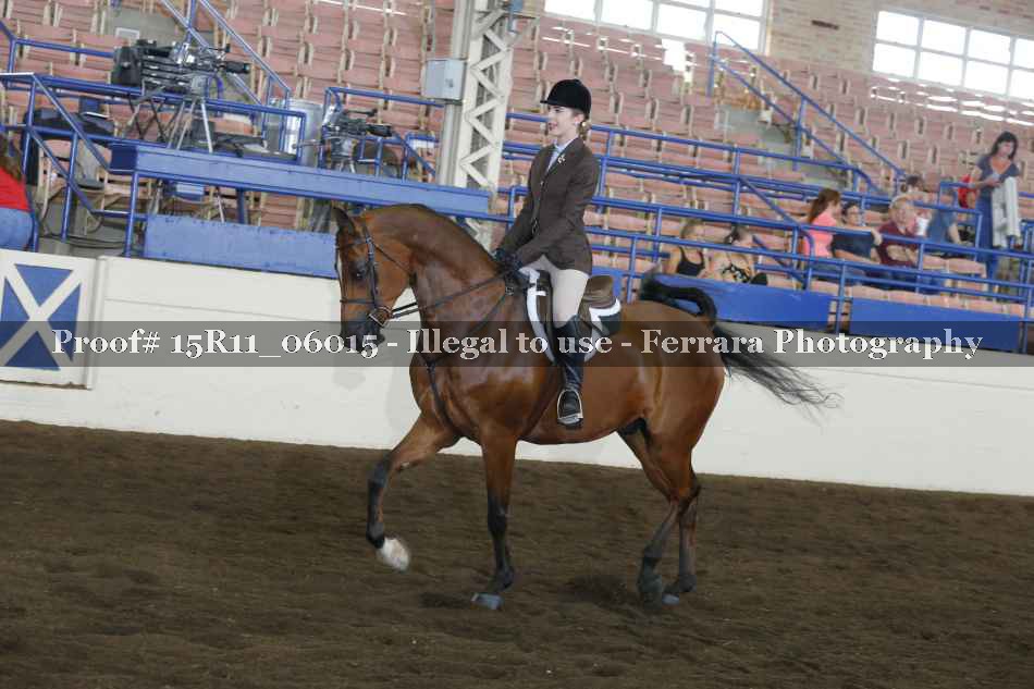 Proof 15R11_06015