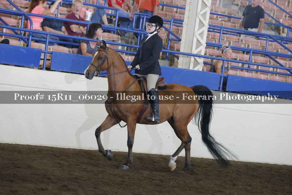 Proof 15R11_06029