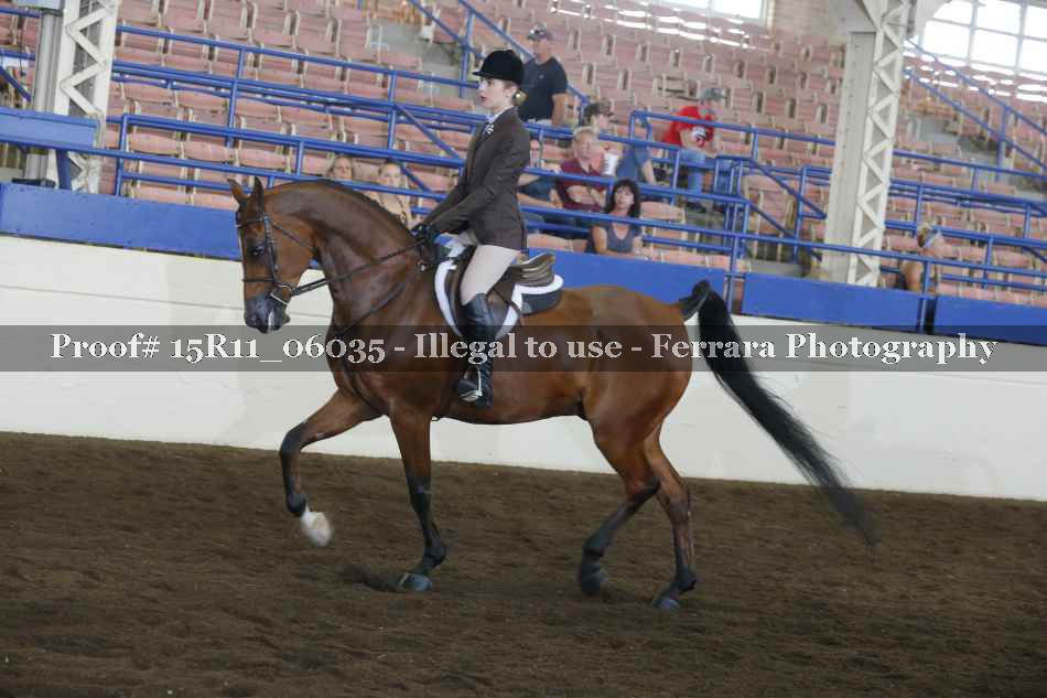 Proof 15R11_06035
