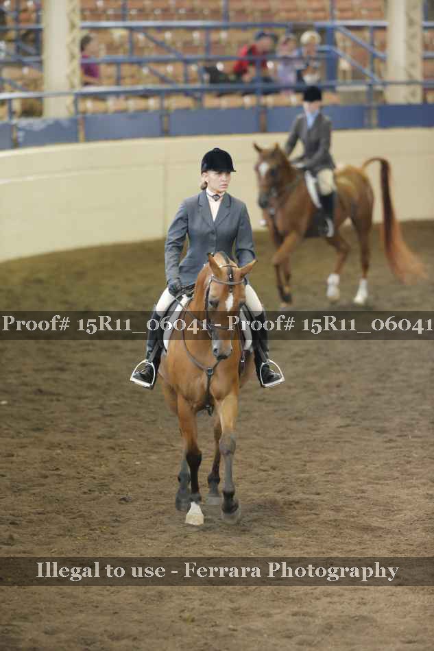 Proof 15R11_06041