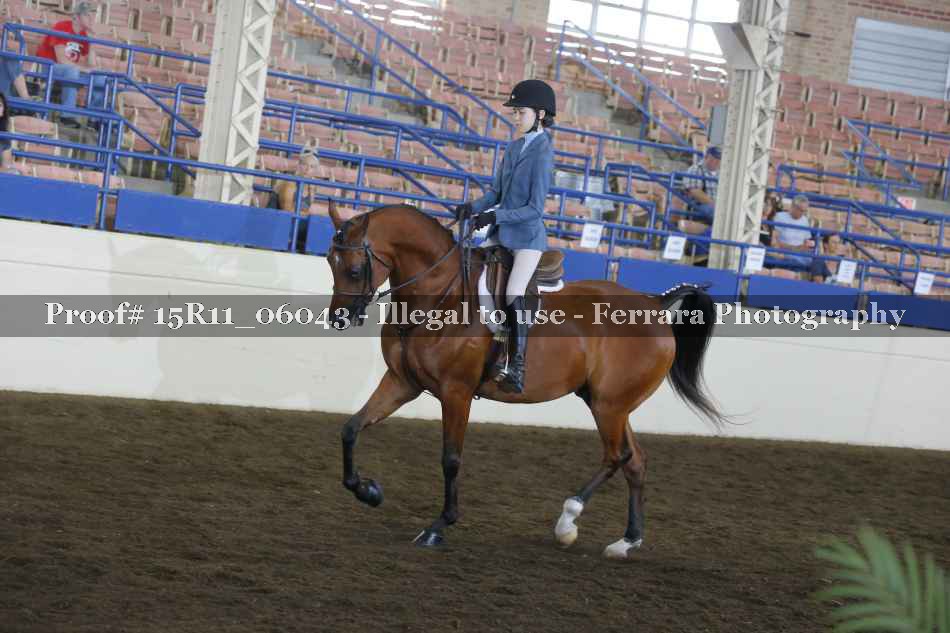Proof 15R11_06043
