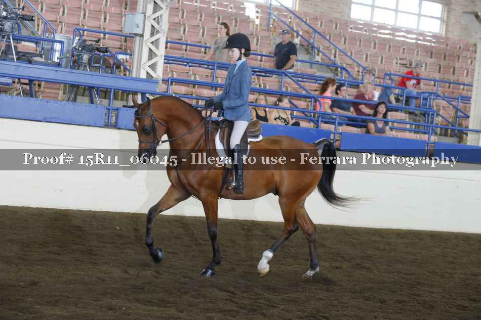 Proof 15R11_06045