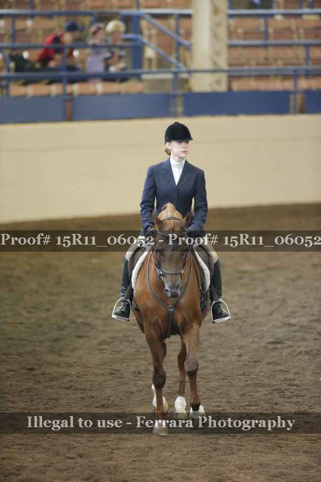 Proof 15R11_06052