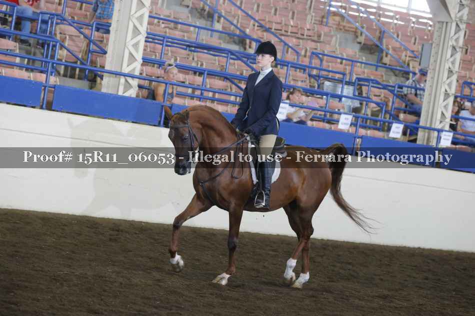 Proof 15R11_06053