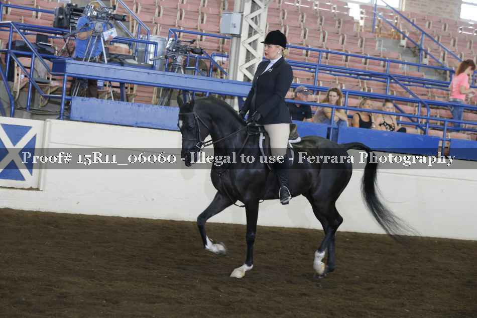 Proof 15R11_06060