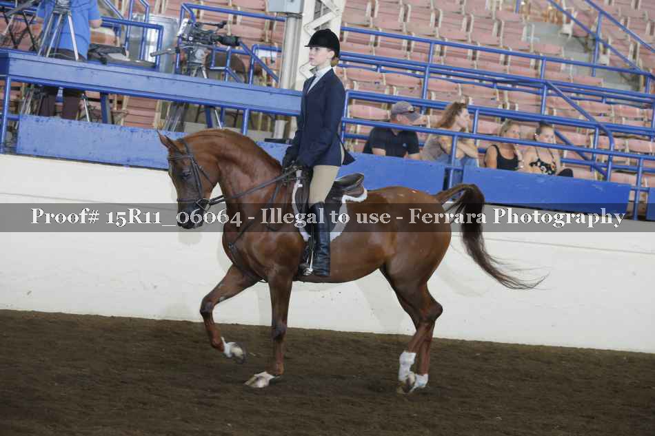Proof 15R11_06064