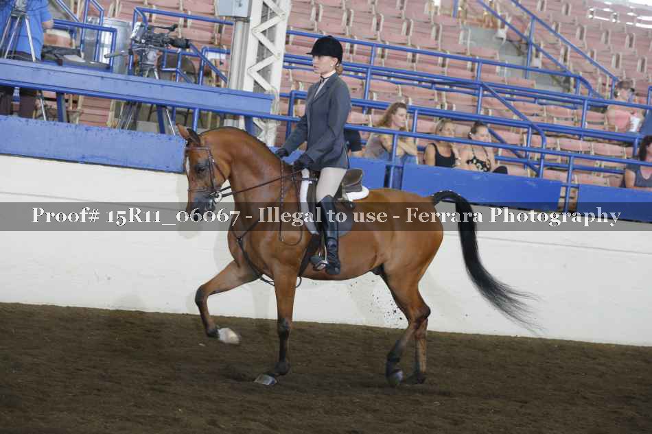 Proof 15R11_06067