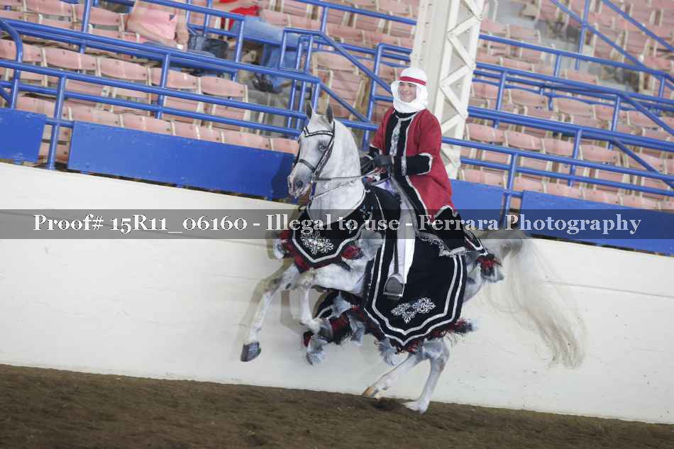 Proof 15R11_06160