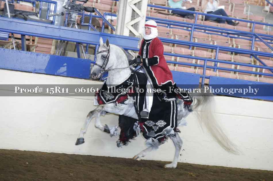 Proof 15R11_06161