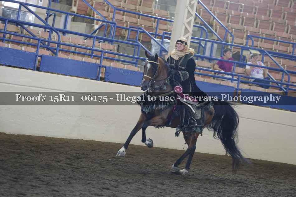 Proof 15R11_06175