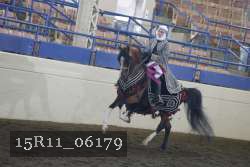 15R11_06179 proof