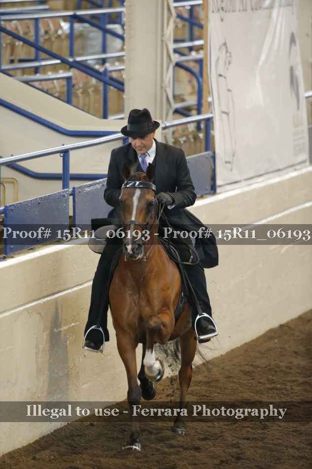 Proof 15R11_06193