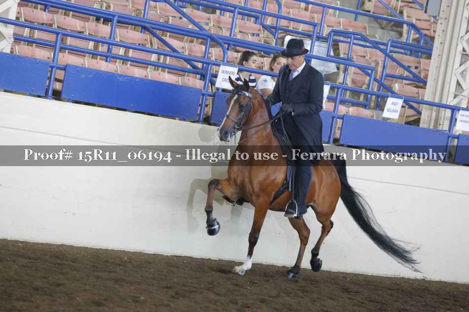 Proof 15R11_06194