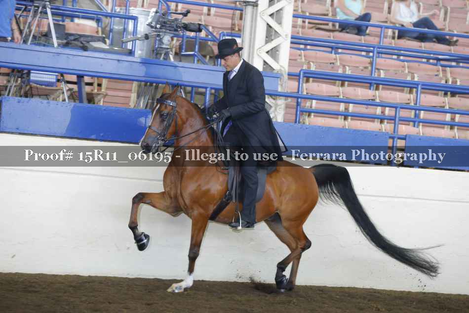 Proof 15R11_06195