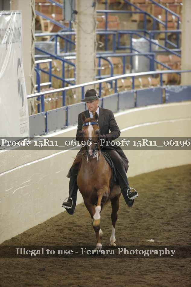 Proof 15R11_06196