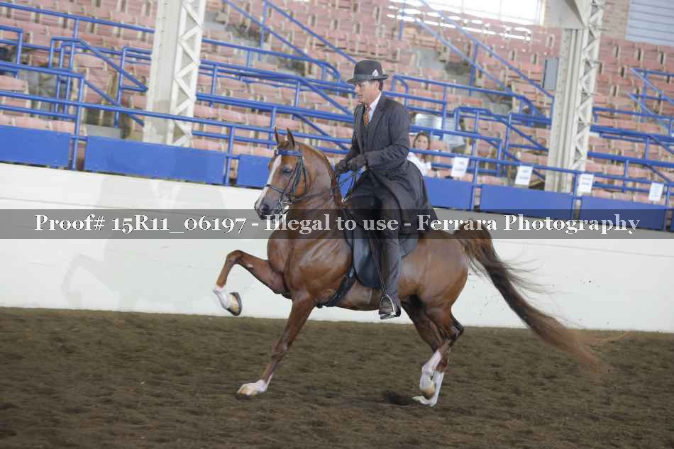 Proof 15R11_06197