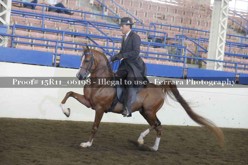Proof 15R11_06198