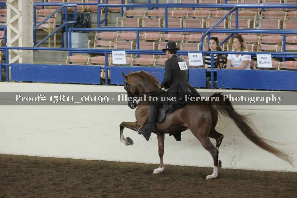 Proof 15R11_06199